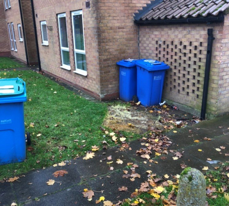 How to Reduce Rubbish in Your Home: Eco-Friendly Tips for Household Waste