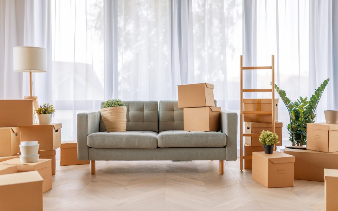 DIY vs. Professional Rubbish Removal: Which Is the Better Option for You?